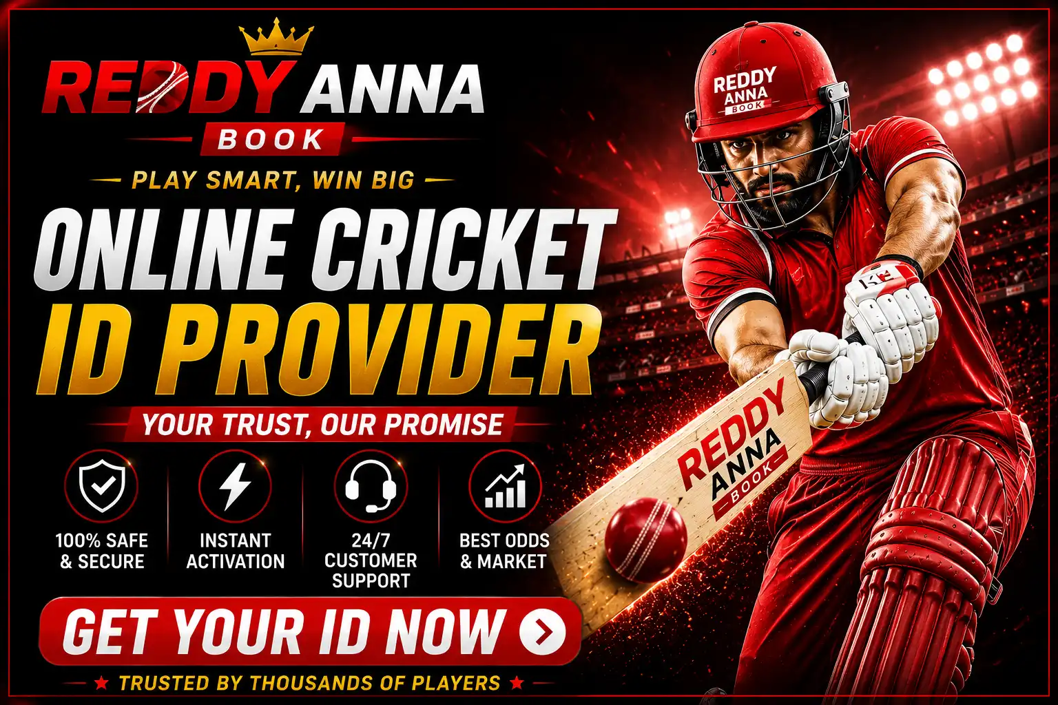 Reddy anna book
